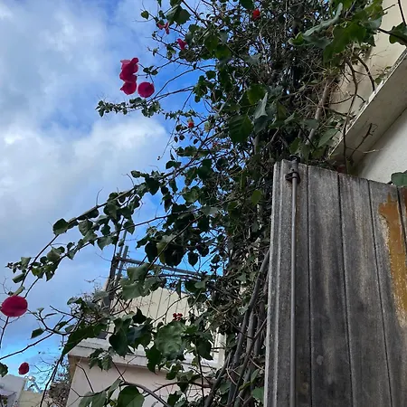 Ifigenia Traditional Rooms & Maisonettes Apartment *