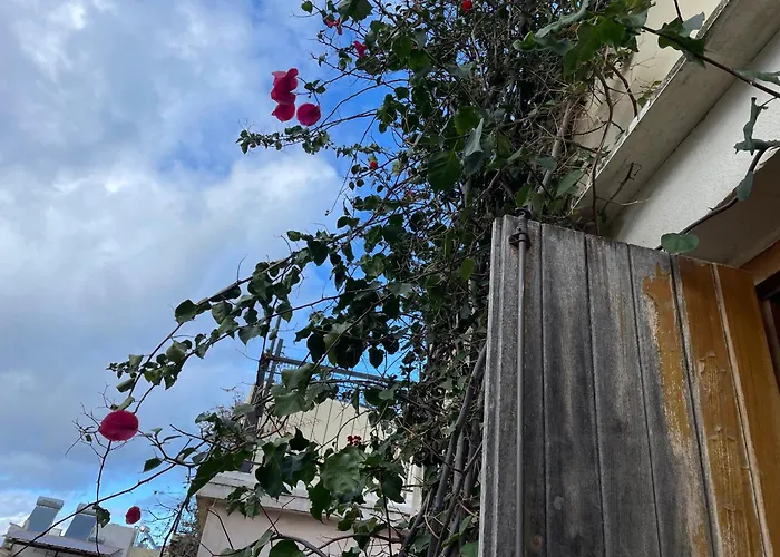 Ifigenia Traditional & Maisonettes Daire *